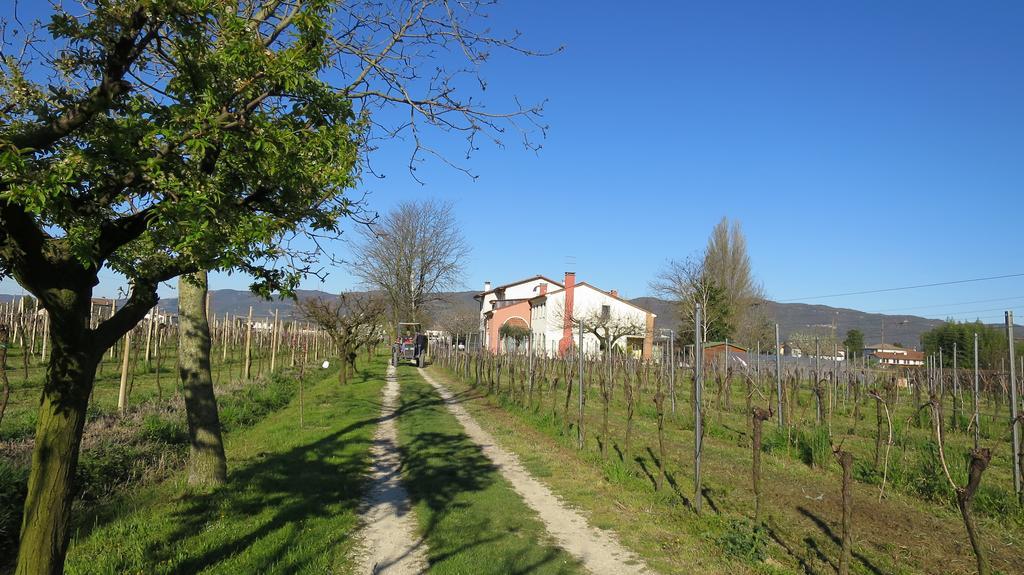 Agriturismo L'Albara Villa Villaganzerla Bagian luar foto